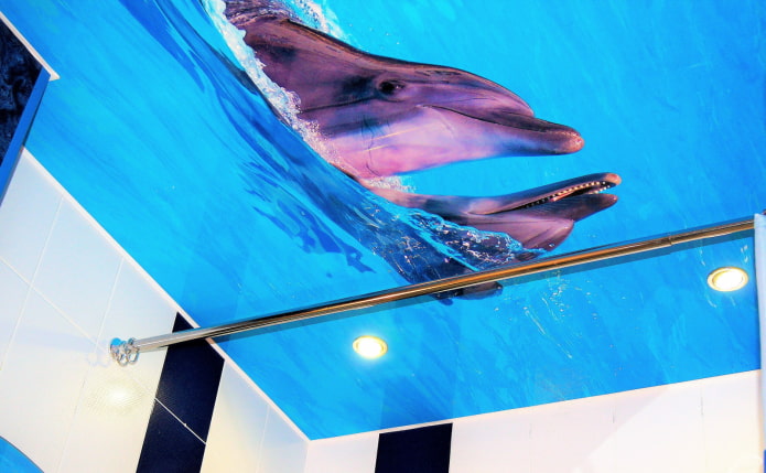 soffitto con immagine di delfini in bagno