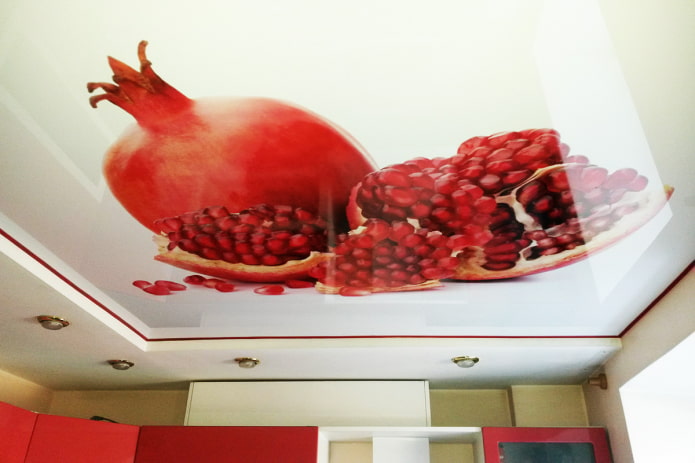soffitto con l'immagine di un melograno in cucina cucina