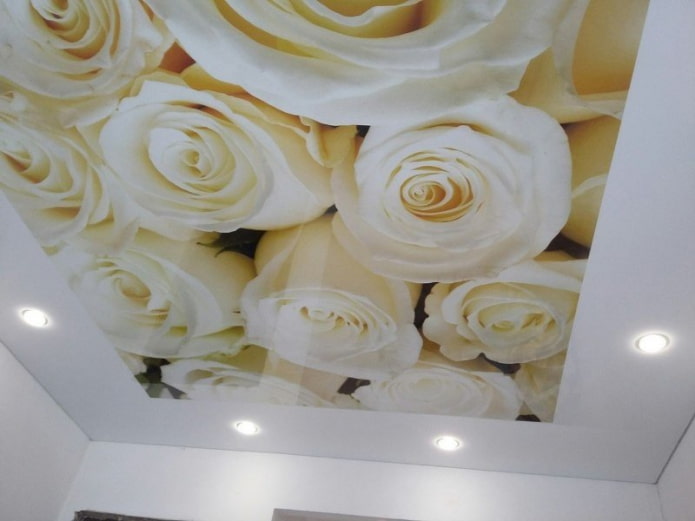 tessuto elasticizzato con stampa fotografica a forma di rosa