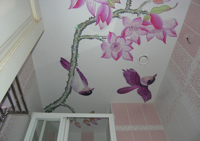 soffitto teso opaco con stampa fotografica