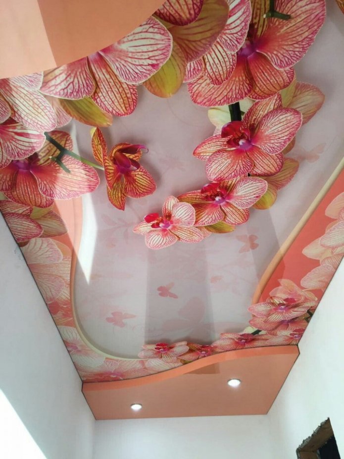 soffitto teso rosa con stampa fotografica