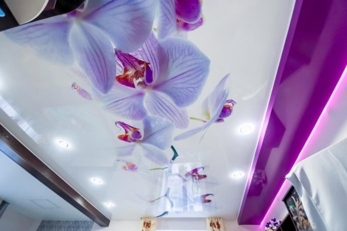 stampa fotografica di fiori lilla sul soffitto