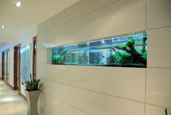 nicchia con un acquario all'interno