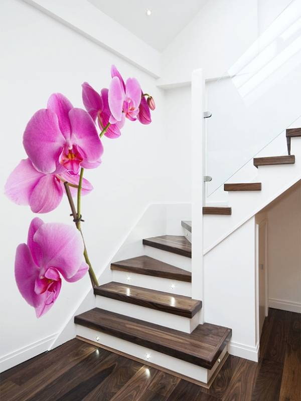 carta da parati fotografica con orchidea