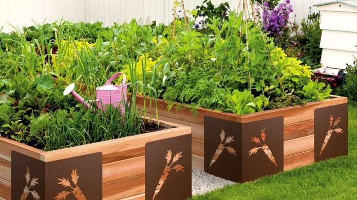 garden