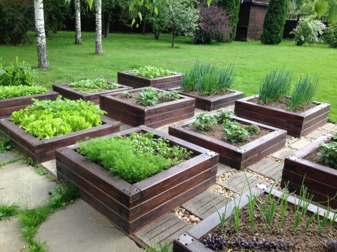 mini-garden