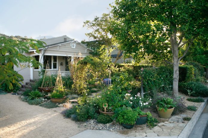 Orto nel giardino anteriore