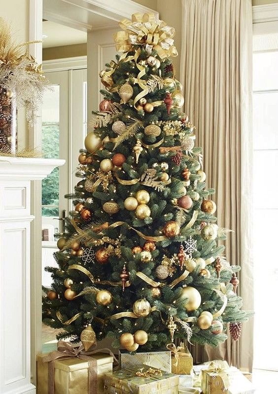 Un albero senza addobbi natalizi