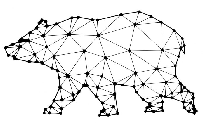 modello orso