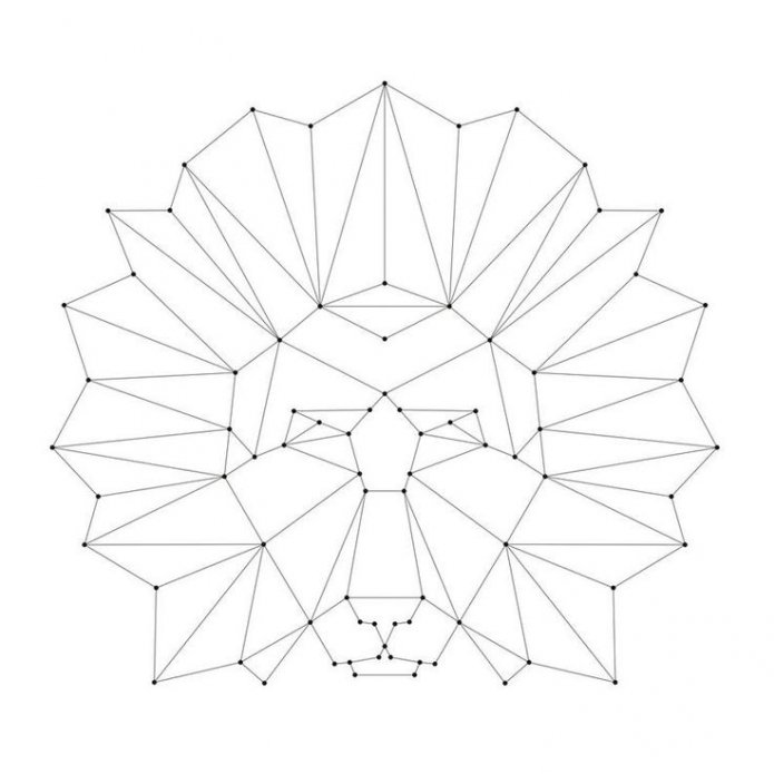 diagramma testa di leone