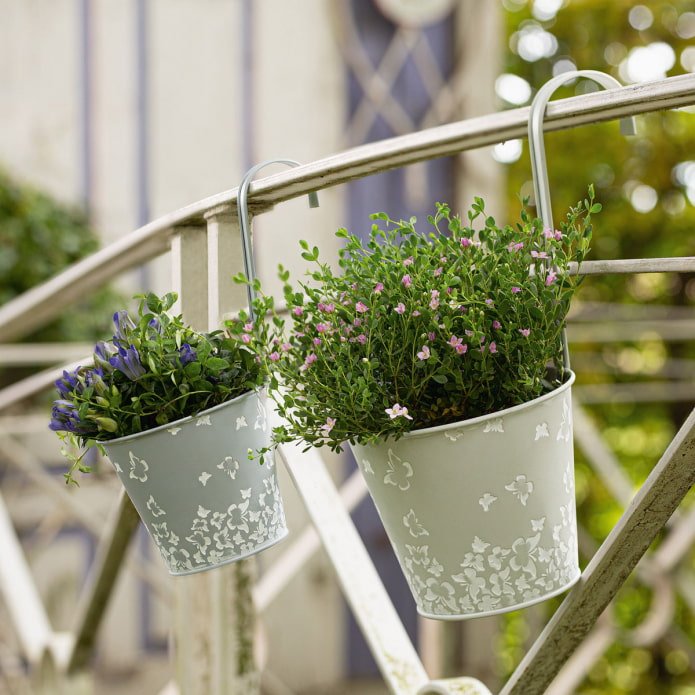 vasi da fiori sospesi dai secchi