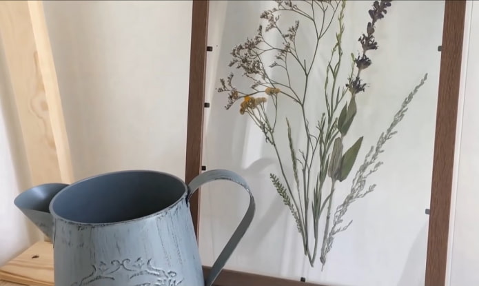 erbario all'interno