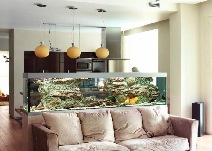 parete divisoria con acquario all'interno della cucina-soggiorno
