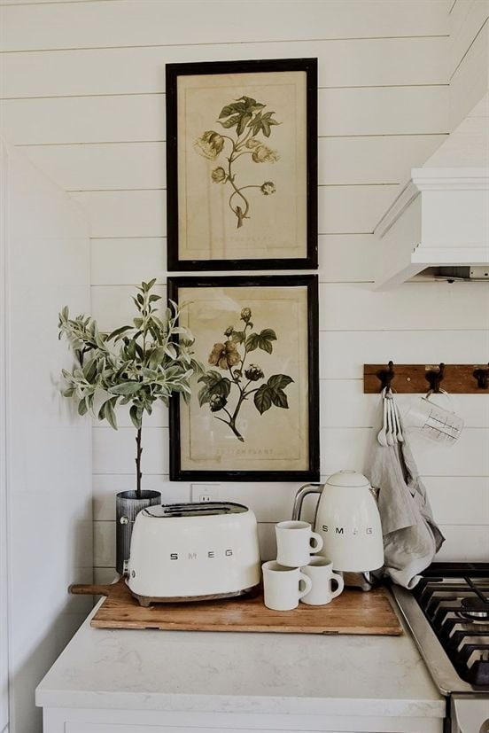 poster di botanica