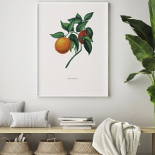 Come decorare le pareti con i poster?-5