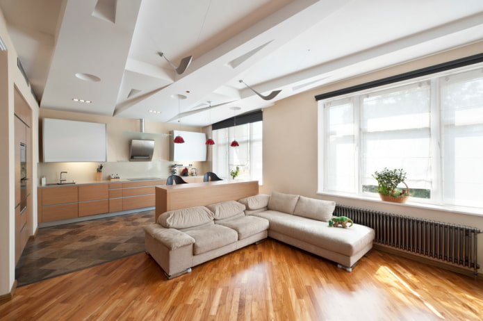soffitto nell'ingresso combinato con la cucina