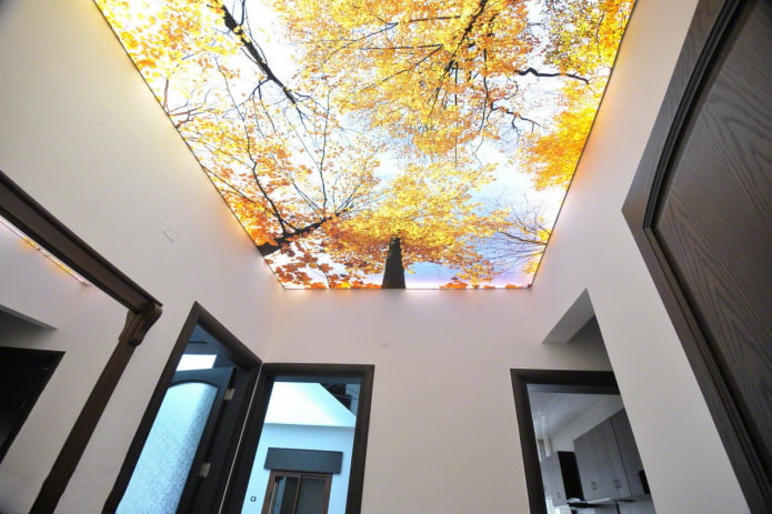 soffitto con stampa fotografica all'interno del corridoio