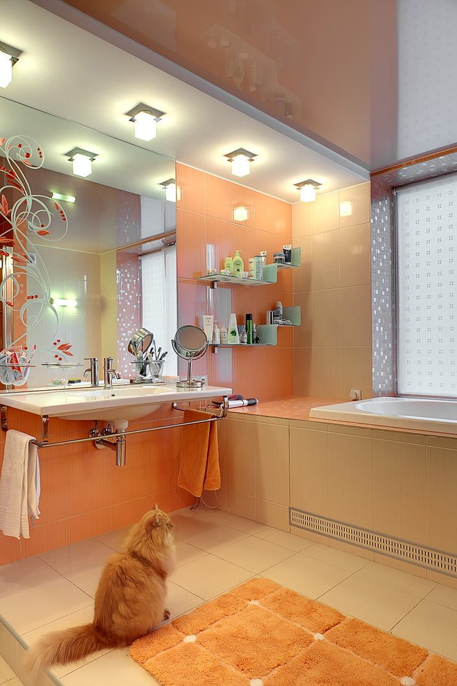 soffitto bicolore nell'interno del bagno