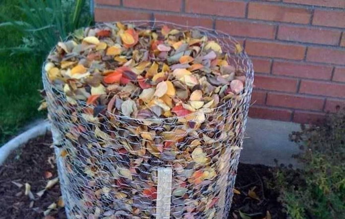 preparazione per l'inverno