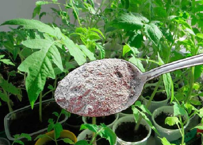 concimazione per pomodori