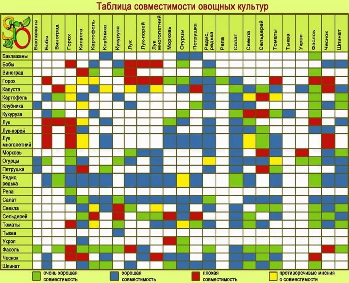 tabella di compatibilità delle colture
