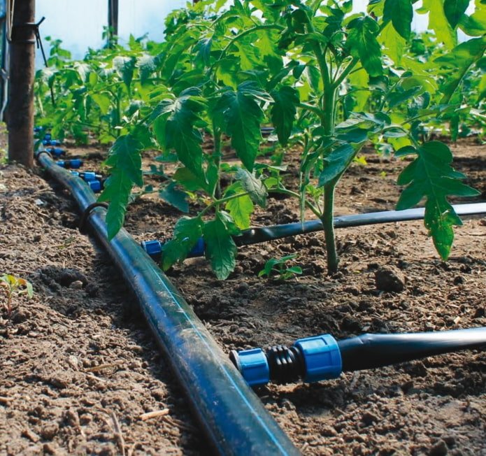sistema di irrigazione a goccia