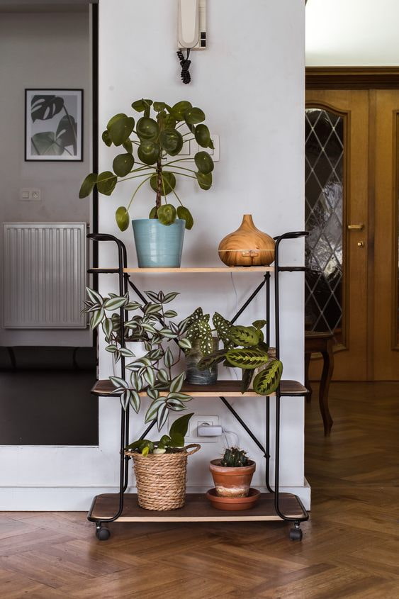 Carrello bar con fiori