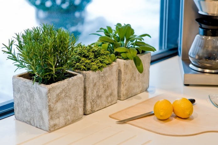 erbe aromatiche in cucina