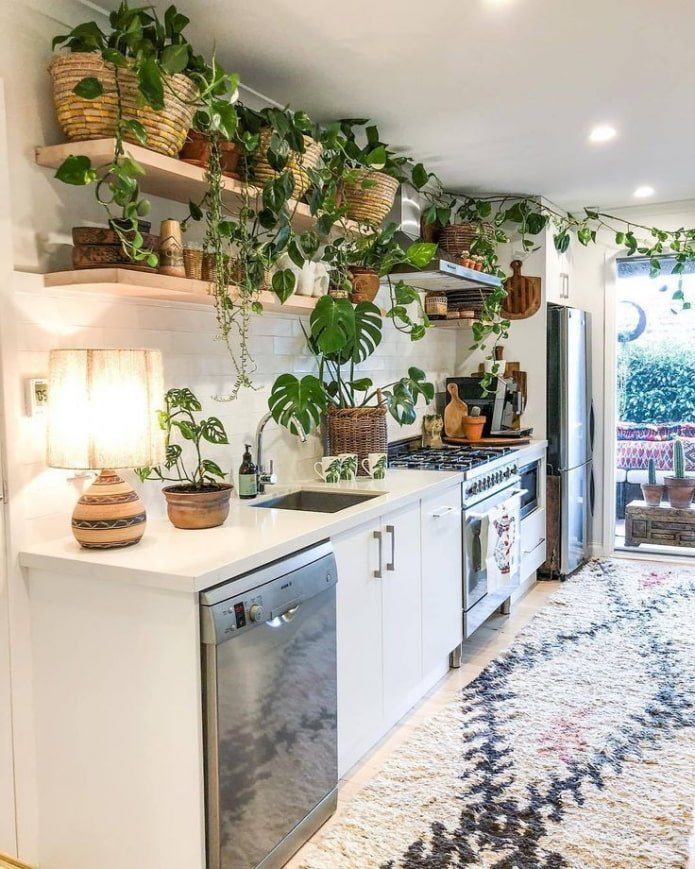 tanti fiori in cucina