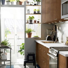 Quali piante si possono usare in cucina?-4