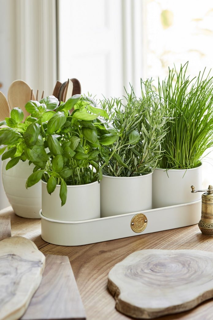 Verdure in cucina