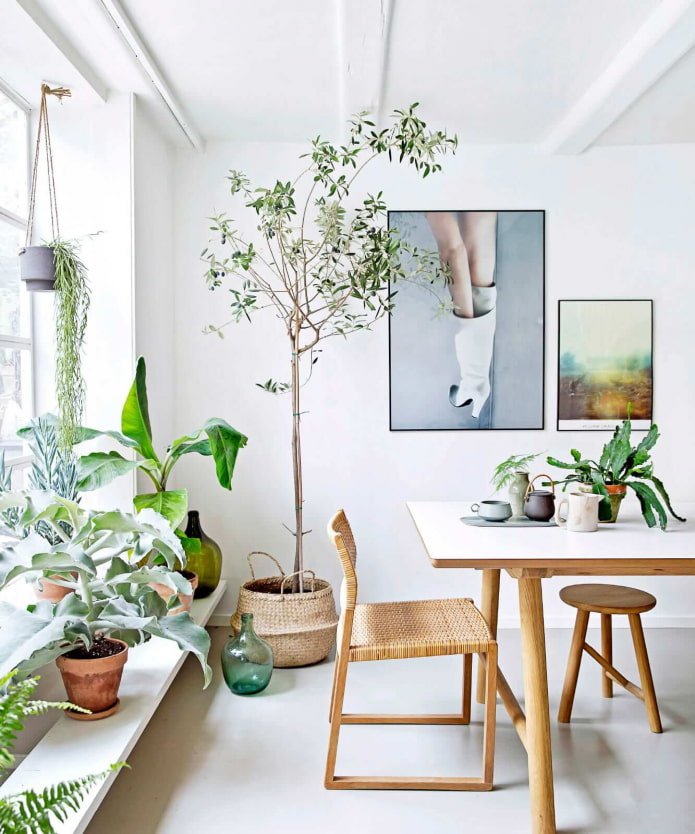 Decorare gli interni con le piante