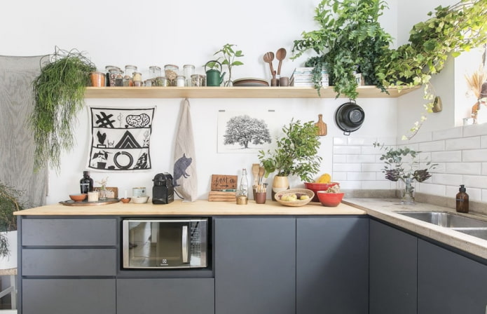 Piante all'interno della cucina