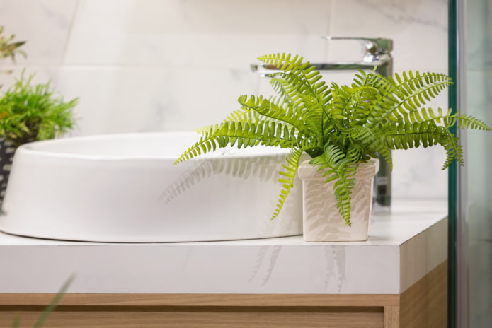 felce per il bagno