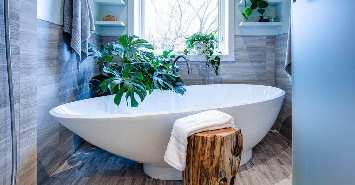 monstera in bagno