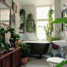 Piante per il bagno-0