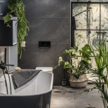 Piante per il bagno-5