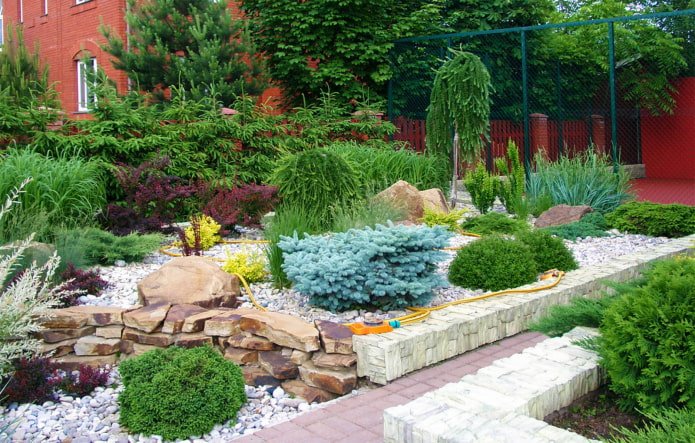 Giardino roccioso con conifere