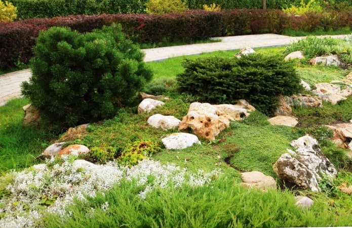 Giardino roccioso verde