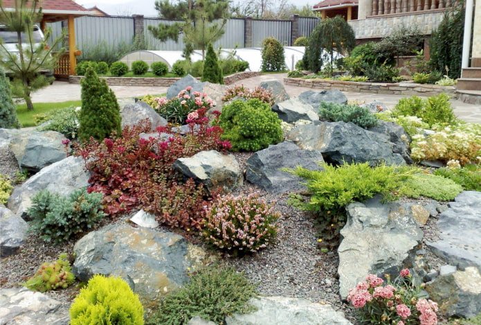 Fiori in un giardino roccioso