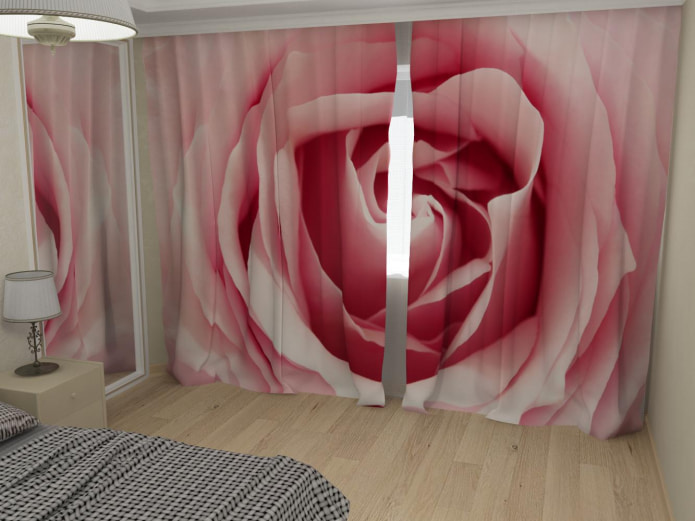 tende fotografiche con una rosa