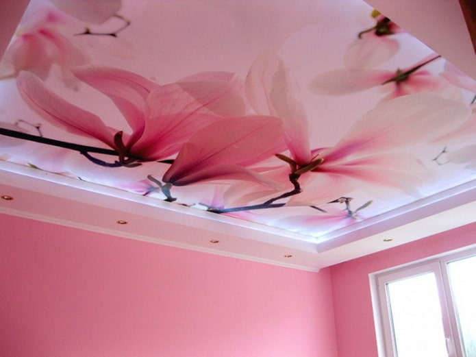 struttura del soffitto rosa con stampa fotografica