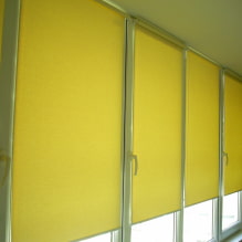 Tende a rullo per balcone o loggia: tipologie, materiali, colore, design, fissaggio-4