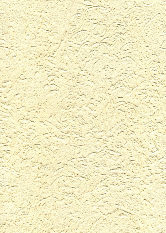 applicazione dell'intonaco per scolitidi