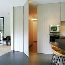 Porte nascoste negli interni (pro e contro, foto e design)-1