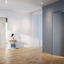Porte nascoste negli interni (pro e contro, foto e design)-5