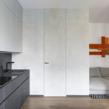 Porte nascoste negli interni (pro e contro, foto e design)-4