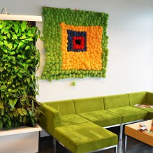 Eco-style nell'interior design-11