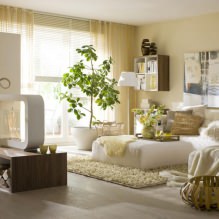 Eco-style nel design degli interni-4