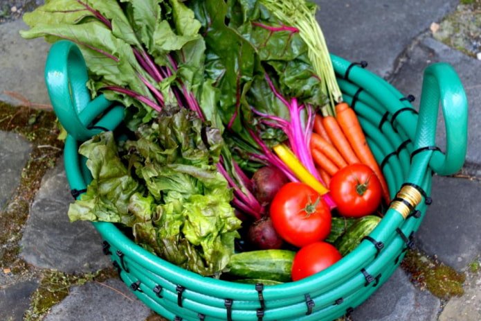 cesto con verdure